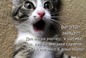 Гагарин, я вас любила