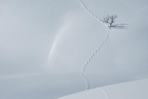 Минимализм в фотографии