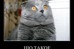 Старый добрые демки