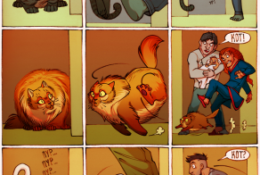 Фишкина солянка за 08.11.2014