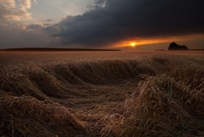 Пасторальные фотографии грозы