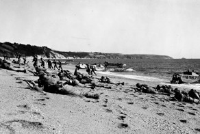 Кровавый пляж (репост)