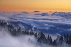 С высоты птичьего полета