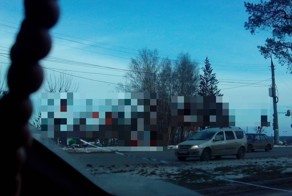 Снегири прилетели