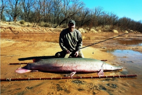 Рыба, которая ест крокодилов