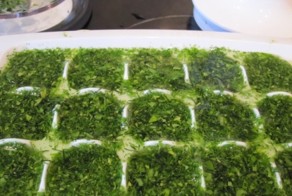 Замораживаем зелень