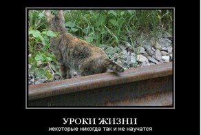 Десять главных правил, которые нужно осознать