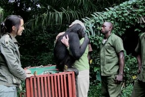 Благодарность за спасение