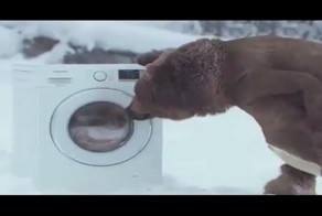 Смешная реклама стиральной машины и уставший ветеринар