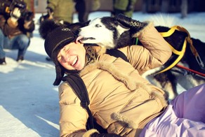 Как собаки служат в армии