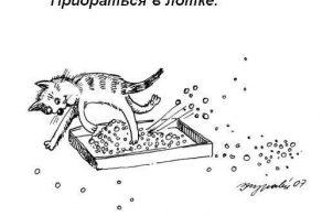 Правила кошачьего этикета