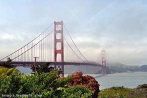 "Гирибасовский" бульвар Сан Франциско! Навеяно постом о Брайтом Бич!