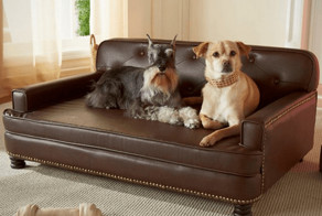 Несколько бесполезных, но милых изобретений для собак