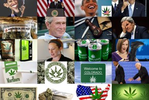 Марихуана политики США