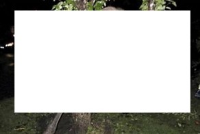 Ни что человеческое, им не чуждо