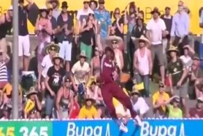 Подборка роликов от 07.02.2013