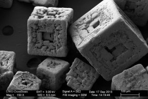 Микромир через микроскоп