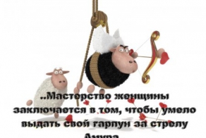 Фишкина солянка за 16.11.2014