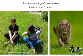 Отредактируйте мою фотку в редакторе