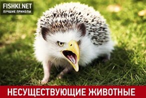 20 несуществующих животных 