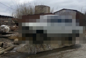 Припарковался до конца весны