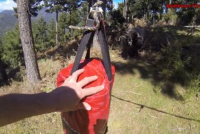 Баран против боксерской груши