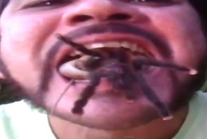 Бразилец пригрел в своём рту змею и паука