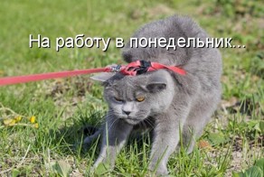 9 типичных оправданий для нерадивых сотрудников