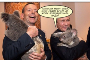 Тем временем на G20 коала