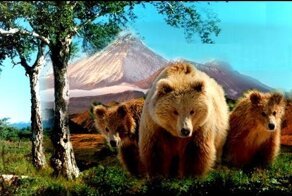 Здесь начинается Россия 