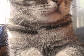 Когда нет пути назад.