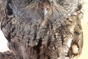 Знакомьтесь, Зевс