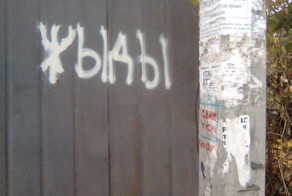 Ж, Ш - через Ы?