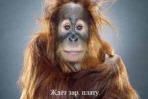 Офисные анекдоты и байки