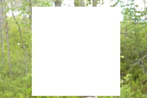 Такого еще не находил. Вот и дождался