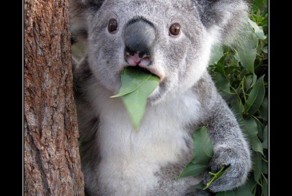 Саммит закончился