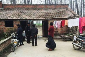 Свинье жестоко распороли живот