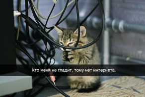 Открытки, в которых можно узнать себя