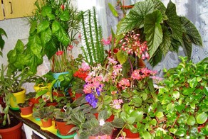 Кто бы мог подумать