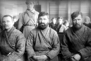 Область товарищей