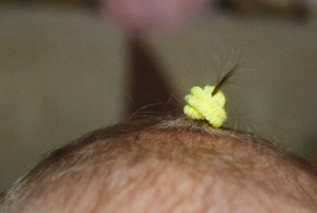 Семейных ценностей пост