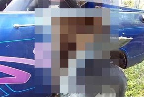 Улей внутри машины