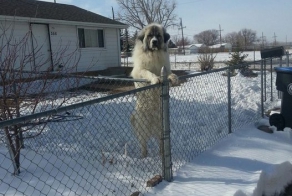 Эту страну не победить