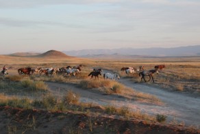 Тува: затерянный мир