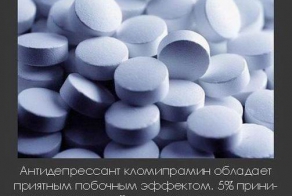Интересные факты о разном