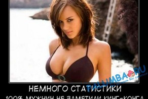 Офисные анекдоты и байки