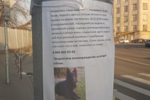Не будем равнодушными