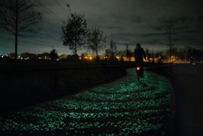 Лунная дорожка для поздних прохожих