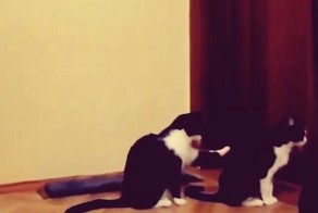 Дружеская поддержка 