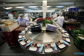 Как готовят самолетную еду 